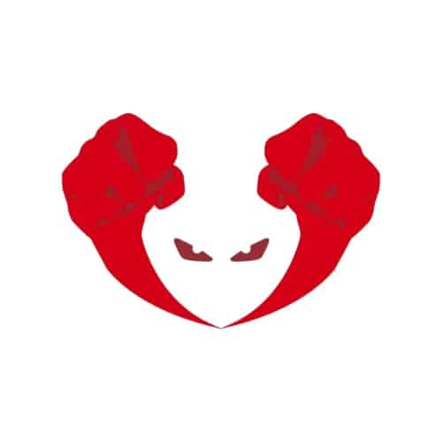 Partner 20