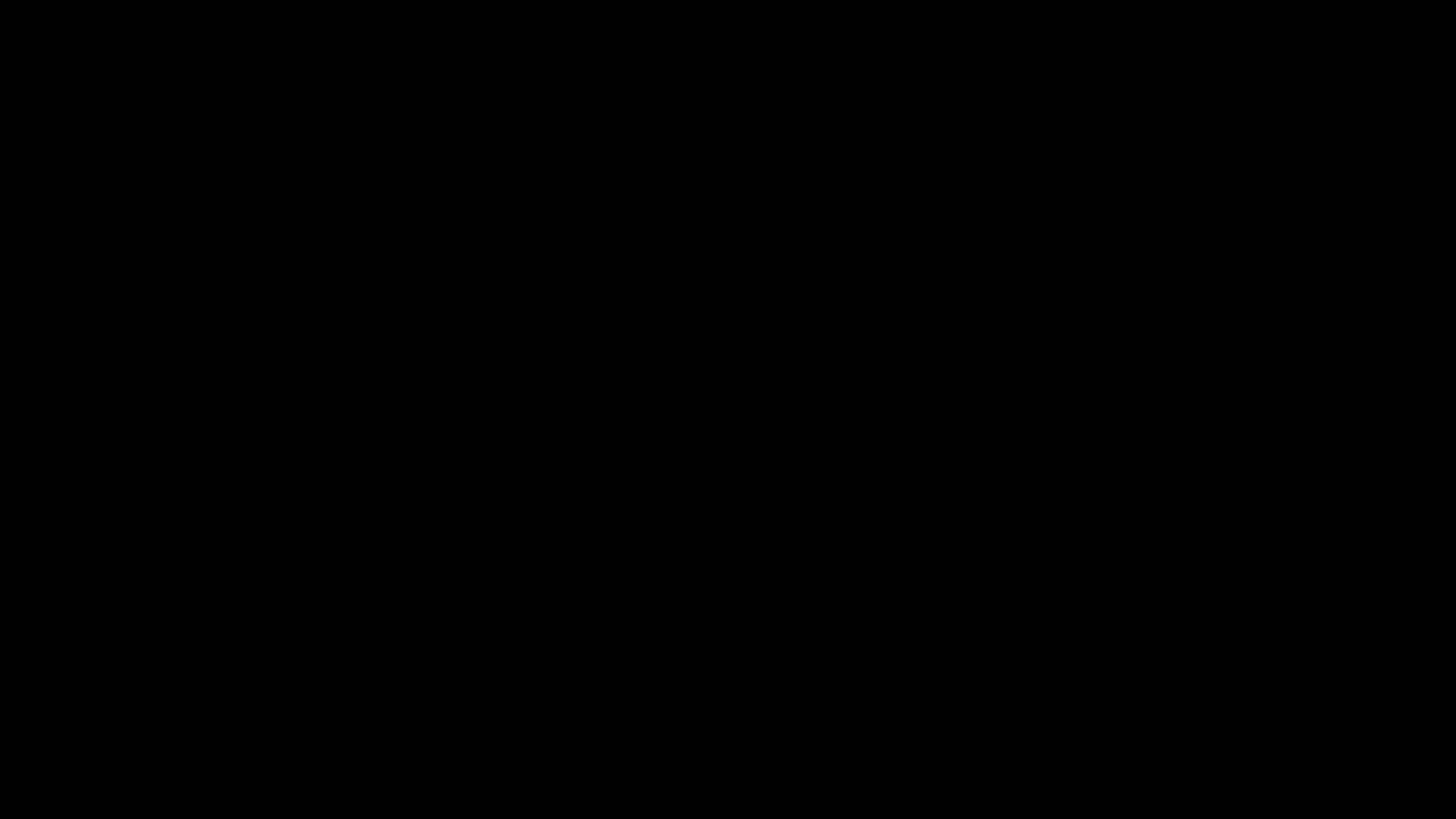 Partner 27